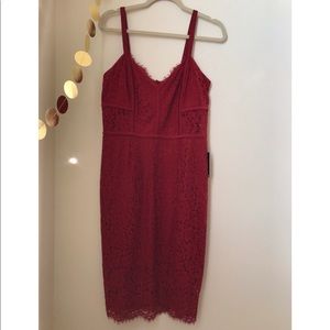 NWT Express Lace Cocktail Dress